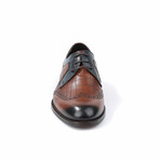 Brogue Dress Shoe // Tobacco + Dark Blue (Euro: 42)