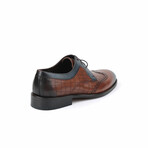 Brogue Dress Shoe // Tobacco + Dark Blue (Euro: 42)