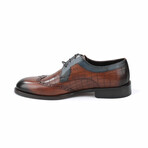 Brogue Dress Shoe // Tobacco + Dark Blue (Euro: 39)