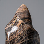 Genuine Polished Black Moonstone Flame // 600g