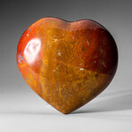 Genuine Polished Petrified Wood Heart With A Black Velvet Pouch // Medium