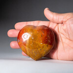 Genuine Polished Petrified Wood Heart With A Black Velvet Pouch // Medium