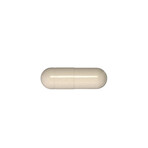 Fit Probiotic & Gut Prep // Prebiotic Bundle