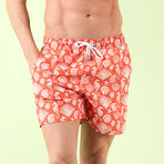 Seahorse Swim Shorts // Orange (S)