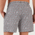 Striped Swim Shorts // Black + White (S)