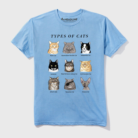 Types of Cats T-Shirt // Triblend Gray (XS)