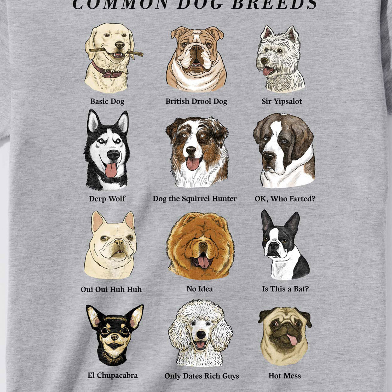 Common Dog Breeds TShirt (XS) Headline Graphic Tees Touch of Modern