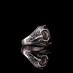 Scorpion Onyx Ring (8)