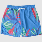 The Mojitos By The Pool Swim Shorts // Blue + Green + Pink (XL)