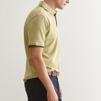 Jay Knitted Polo // Light Green (S)