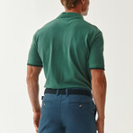 Jay Knitted Polo // Sage (S)