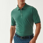 Jay Knitted Polo // Sage (S)