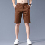 Golf Shorts // Brown (36)