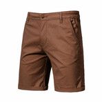 Golf Shorts // Brown (36)