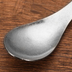 Crystal Titanium Spoon // Set of 2