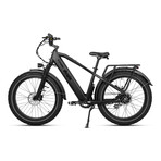 Pioneer Fat Tire E-Bike // Black