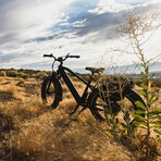 Pioneer Fat Tire E-Bike // Black