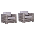 Letona 2 Piece Club Chair + Cushion // Set of 2