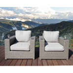 Almyra Patio Chair + Gray Cushions // Set of 2