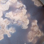 Genuine Polished Flower Agate Palm Stone With Black Velvet Pouch // Large