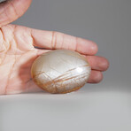 Genuine Polished Peach Moonstone Palm Stone With Velvet Pouch