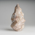 Genuine Polished Ocean Jasper Flame // 2.25lb