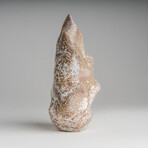 Genuine Polished Ocean Jasper Flame // 2.25lb