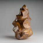 Genuine Polished Brown Lace Jasper Flame // 6lb