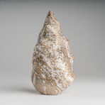 Genuine Polished Ocean Jasper Flame // 2.25lb