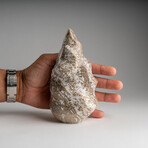 Genuine Polished Ocean Jasper Flame // 2.25lb