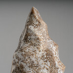 Genuine Polished Ocean Jasper Flame // 2.25lb