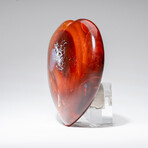 Genuine Polished Carnelian Agate Heart with Acrylic Display Stand // 1.05lb