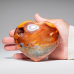 Genuine Polished Carnelian Agate Heart with Acrylic Display Stand // 1.40lb