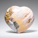 Genuine Polished Ocean Jasper Heart with Acrylic Display Stand // 413.5g