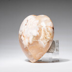 Genuine Polished Flower Agate Heart with Acrylic Display Stand // 513.1g