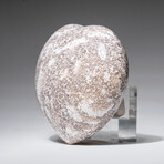 Genuine Polished Ocean Jasper Heart with Acrylic Display Stand // 468.4g