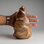 Genuine Polished Brown Lace Jasper Flame // 6lb