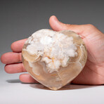 Genuine Polished Flower Agate Heart with Acrylic Display Stand // 513.1g