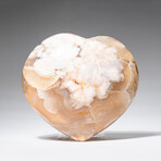 Genuine Polished Flower Agate Heart with Acrylic Display Stand // 513.1g