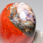 Genuine Polished Red Jasper Heart with Acrylic Display Stand // 404.1g