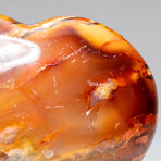 Genuine Polished Carnelian Agate Heart with Acrylic Display Stand // 1.40lb