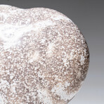 Genuine Polished Ocean Jasper Heart with Acrylic Display Stand // 468.4g