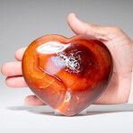 Genuine Polished Carnelian Agate Heart with Acrylic Display Stand // 1.05lb