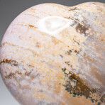 Genuine Polished Ocean Jasper Heart with Acrylic Display Stand // 413.5g