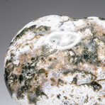 Genuine Polished Ocean Jasper Heart with Acrylic Display Stand // 429.6g