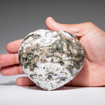 Genuine Polished Ocean Jasper Heart with Acrylic Display Stand // 429.6g