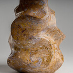 Genuine Polished Brown Lace Jasper Flame // 6lb