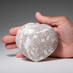 Genuine Polished Ocean Jasper Heart with Acrylic Display Stand // 468.4g