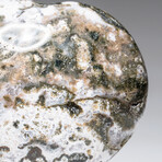 Genuine Polished Ocean Jasper Heart with Acrylic Display Stand // 429.6g