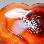 Genuine Polished Carnelian Agate Heart with Acrylic Display Stand // 1.05lb